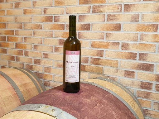 Rosato di Merlot